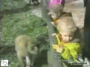 Acid Gifdump (25 gifs)