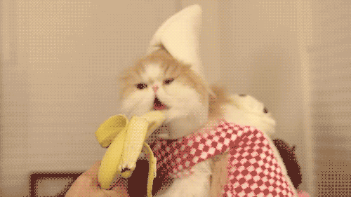Acid Gifdump (25 gifs)