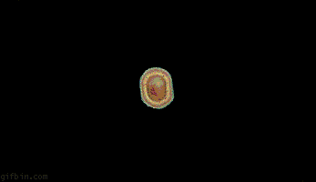 Acid Gifdump (25 gifs)