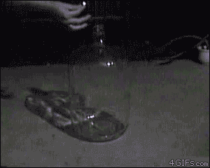 Acid Gifdump (25 gifs)