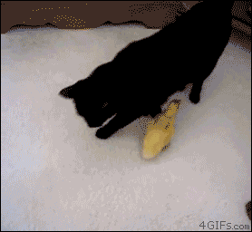 Acid Gifdump (25 gifs)