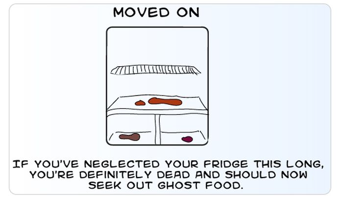 What the Contents of Your Fridge Say About You (9 pics)