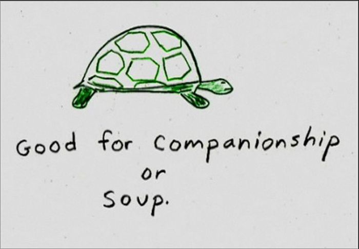 Important Things by Demetri Martin (20 pics)