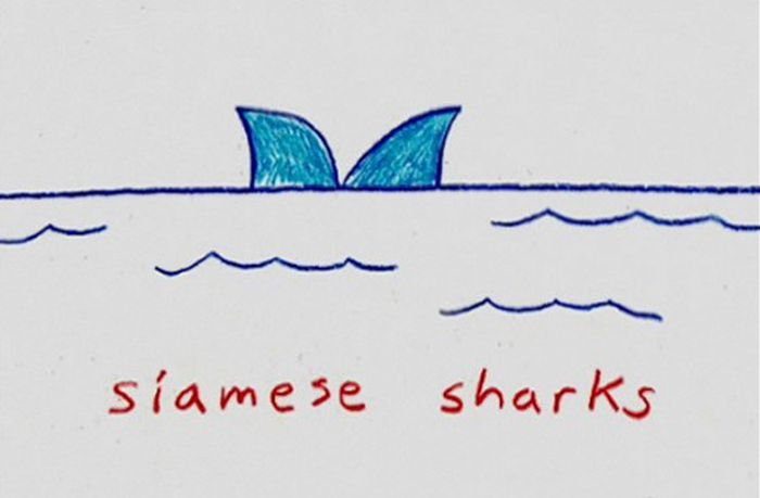 Important Things by Demetri Martin (20 pics)