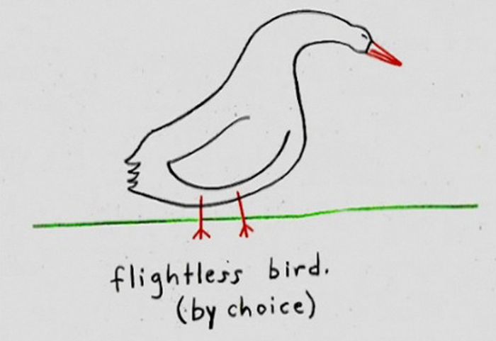 Important Things by Demetri Martin (20 pics)