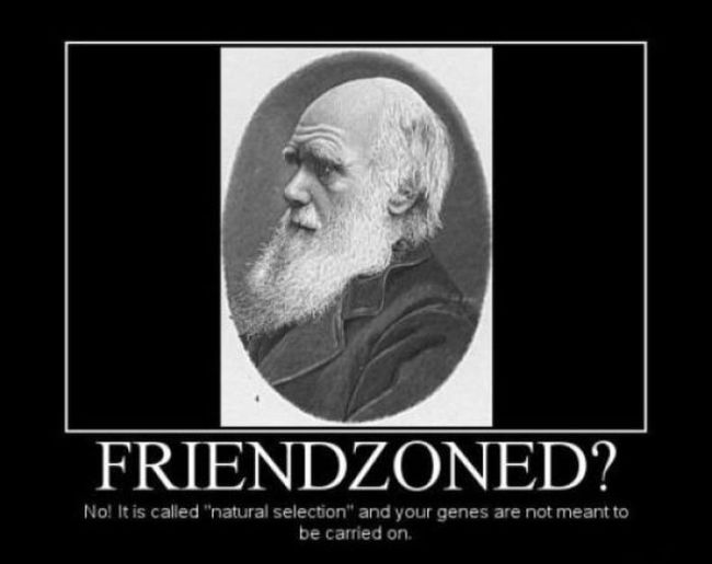 Funny Demotivational Posters (32 pics)
