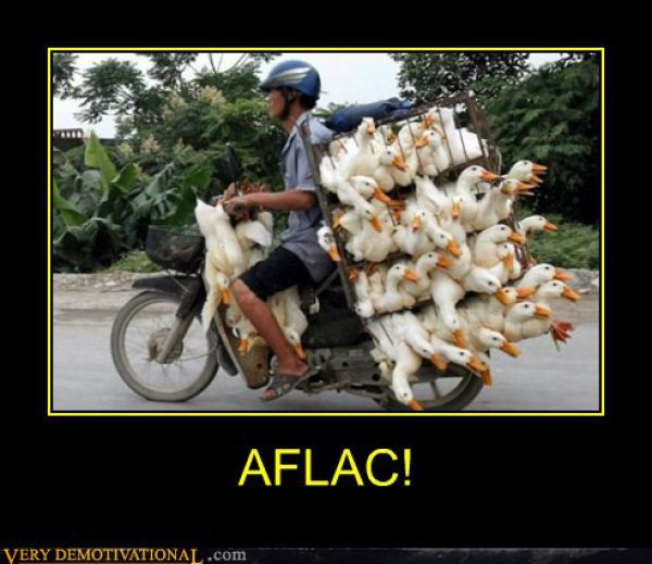 Funny Demotivational Posters (32 pics)