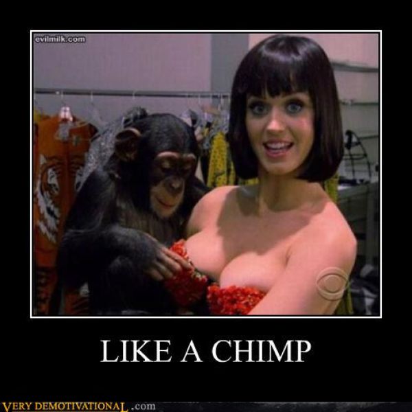 Funny Demotivational Posters (32 pics)