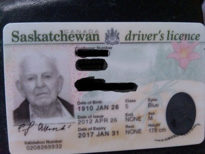 Driver Licence for the Next 5 Years (3 pics)