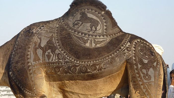 Amazing Camel Hair Art (14 pics)
