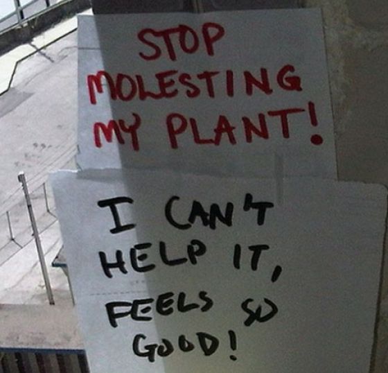 Smart Ass Replies to Written Notes (20 pics)