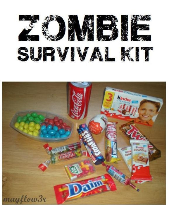 Zombie Survival Kit (22 pics)