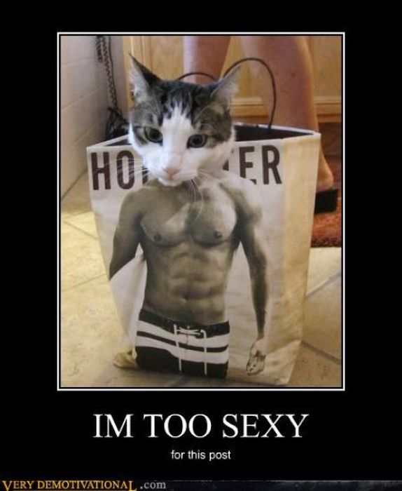 Funny Demotivational Posters (32 pics)