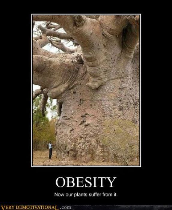 Funny Demotivational Posters (32 pics)