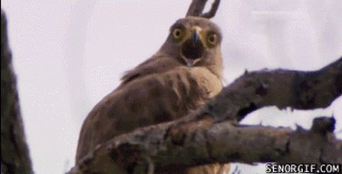 Did It Ever Happen to You When... Part 13 (18 gifs)