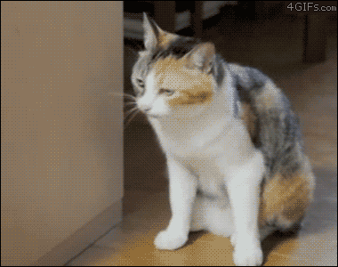 Acid Gifdump (25 gifs)