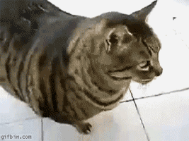 Acid Gifdump (25 gifs)
