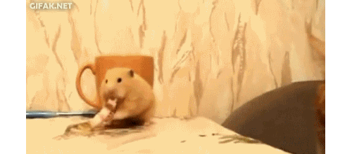 Acid Gifdump (25 gifs)
