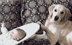 Acid Gifdump (25 gifs)