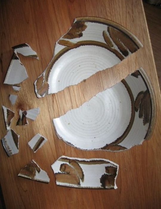 Pets Gone Wild. Part 2 (45 pics)