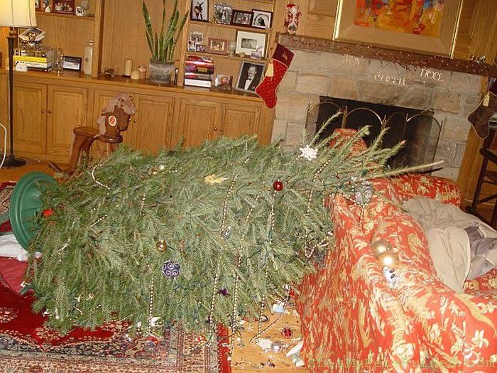Pets Gone Wild. Part 2 (45 pics)