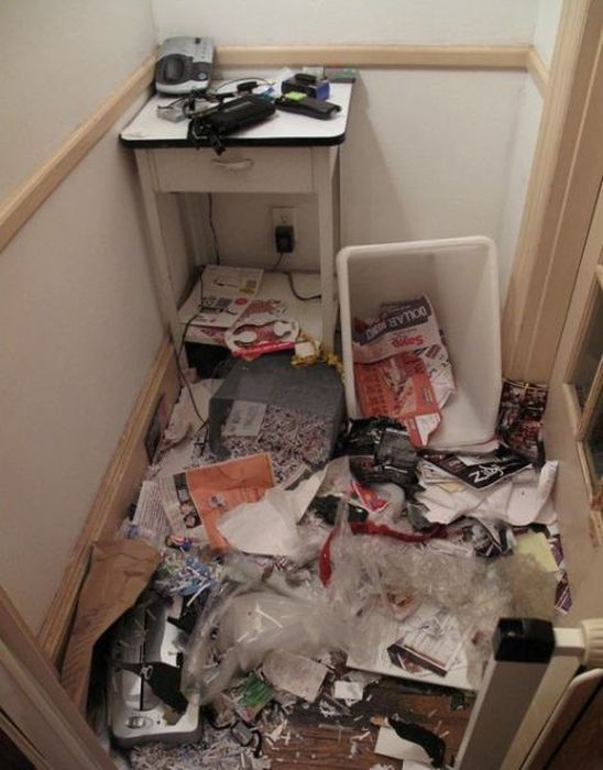 Pets Gone Wild. Part 2 (45 pics)