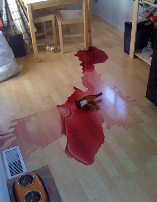 Pets Gone Wild. Part 2 (45 pics)