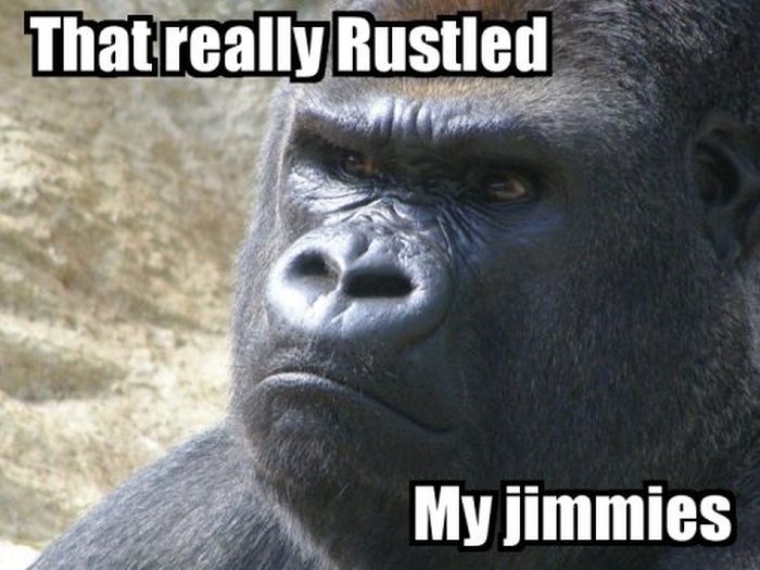 Classic Funny Captions (29 pics)