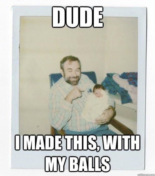 Classic Funny Captions (29 pics)