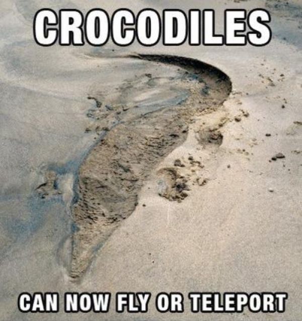 Classic Funny Captions (29 pics)