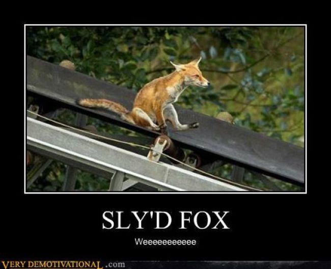 Very fox. Сумасшедшие лисы. Fox puns. Лиса Каламбур. Weeeeeeeeeee.