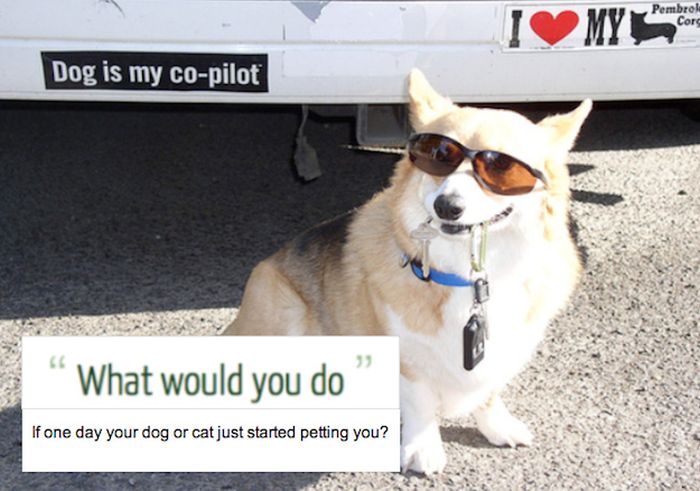 Awesome Ideas People Had When They Were High (35 pics)
