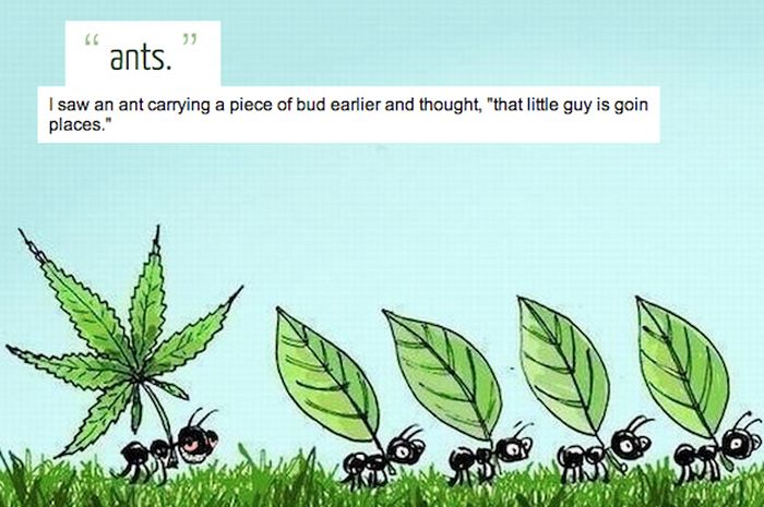 Awesome Ideas People Had When They Were High (35 pics)