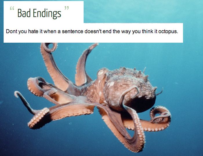 Awesome Ideas People Had When They Were High (35 pics)