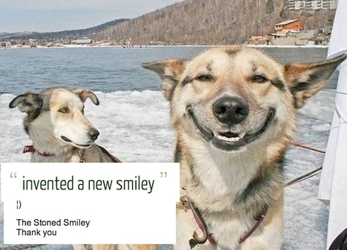 Awesome Ideas People Had When They Were High (35 pics)