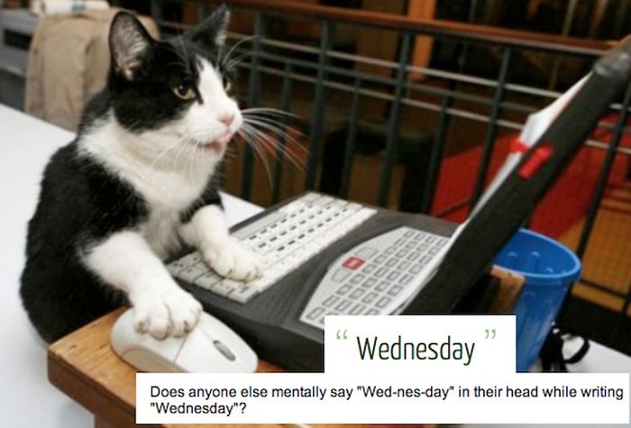 Awesome Ideas People Had When They Were High (35 pics)