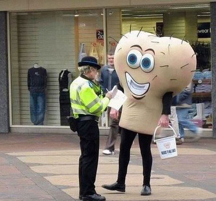WTF Pictures (40 pics)