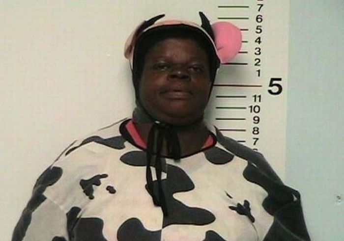 WTF Pictures (40 pics)