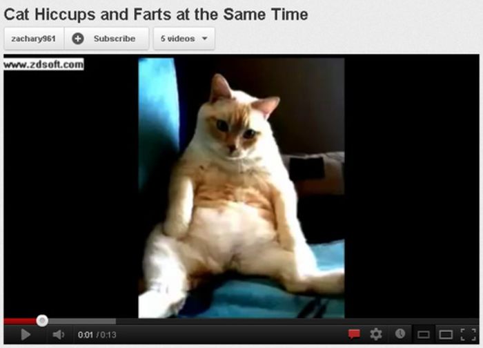 YouTube Videos Paused At the Right Moment (25 pics)