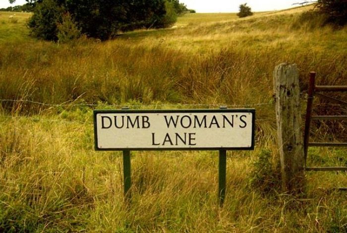 Funny Road Signs. Part 2 (30 pics)