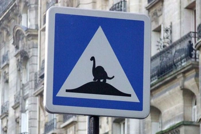 Funny Road Signs. Part 2 (30 pics)