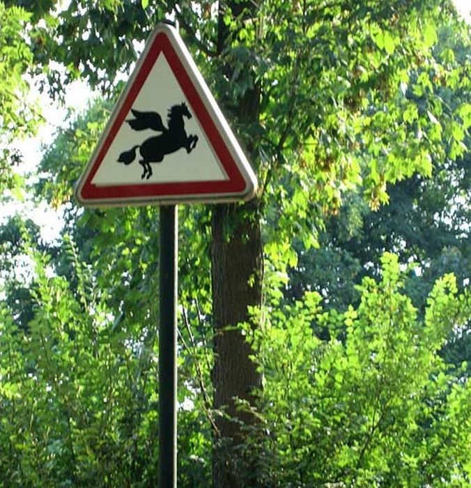 Funny Road Signs. Part 2 (30 pics)