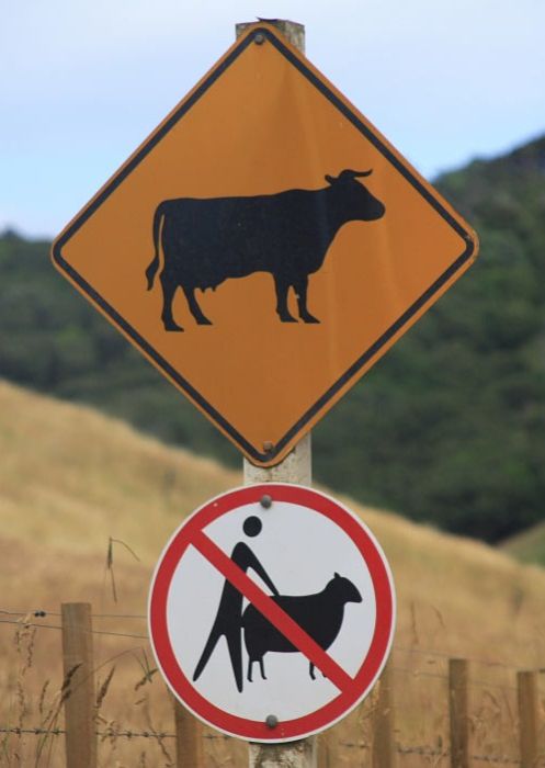 Funny Road Signs. Part 2 (30 Pics)