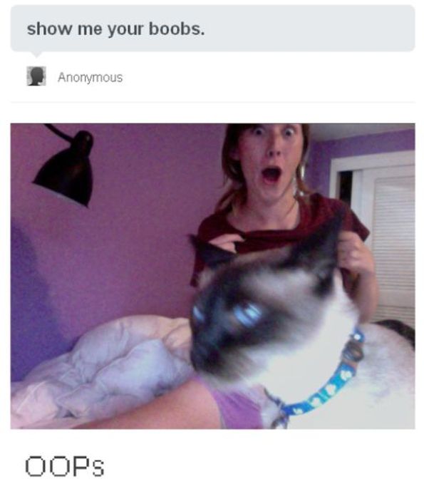 15 Funny Comment Replies From People on Tumblr (15 pics)