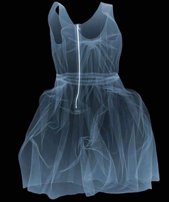 X-ray by Nick Veasey (56 pics)