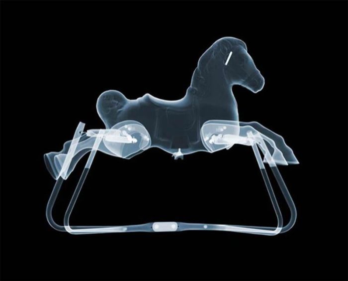 X-ray by Nick Veasey (56 pics)