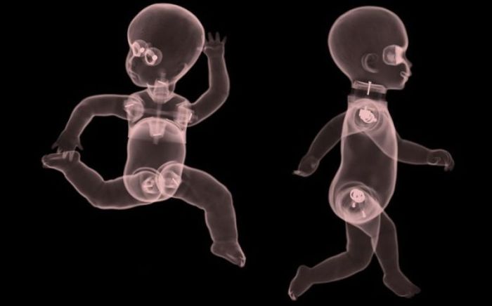 X-ray by Nick Veasey (56 pics)