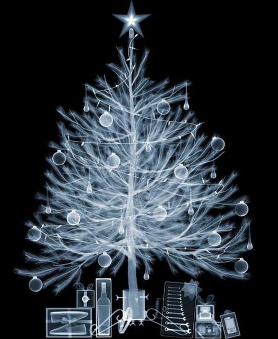 X-ray by Nick Veasey (56 pics)