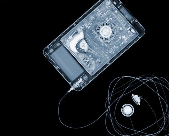 X-ray by Nick Veasey (56 pics)