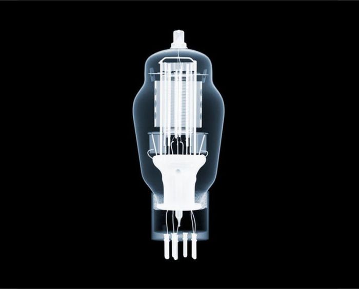 X-ray by Nick Veasey (56 pics)